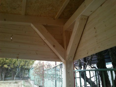 dsc_0116.jpg dsc_0116.jpg