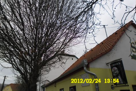 sam_0520.jpg sam_0520.jpg